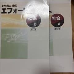 小学実力練成 エフォート 社会 A B 新訂版 2冊セットのサムネイル