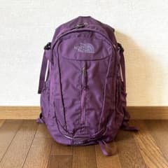 THE NORTH FACE GEMINI 20 Hiking Backpack (Purple)