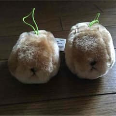 카피바라 씨 마스코트 X2 개