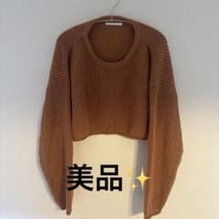 美品‼️秋服先取り‼️RETRO GIRLショート丈 ニットのサムネイル