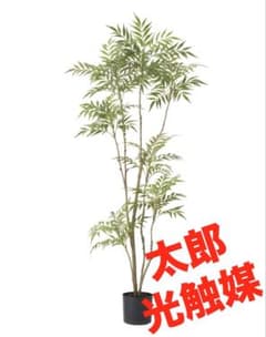 光触媒　人工観葉植物　ウォールグリーン　フェイクグリーン　マホニア180 光触媒 人工観葉植物 ウォールグリーン フェイクグリーン マホニア180