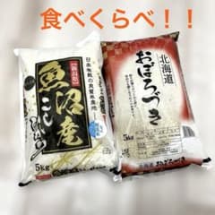 食べ比べ！！新潟県産魚沼こしひかり 北海道おぼろづき 5kg×2袋 即日発送 食べ比べ！！新潟県産魚沼こしひかり 北海道おぼろづき 5kg×2袋 即日