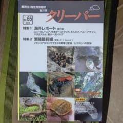 クリーパーNo65のサムネイル