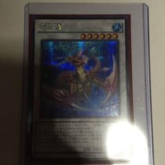 【翌日発送】瑚之龍 コーラルドラゴン シクのサムネイル