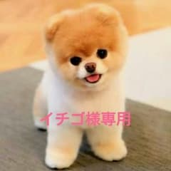 フラコラ　ポッコビオ　90包のサムネイル