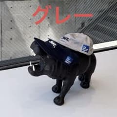 wake sapporo cap キャップ - メルカリ