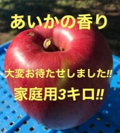 ✨️信州農家✨️【大玉】あいかの香り✨️家庭用３キロ！のサムネイル