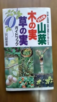山菜・木の実・草の実ガイドブック（254種） ☆ - メルカリ