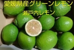 愛媛県産　瀬戸内グリーンレモンのサムネイル