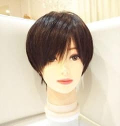 人毛100%ウィッグ総手植えつむじ地肌✨中島健人❣️さら艶髪！美人ショート✨のサムネイル