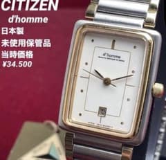未使用/希少モデル/電池交換済】CITIZEN d