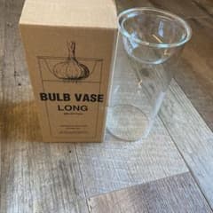 球根　水耕栽培　ガラス容器　BULB VASE 花瓶のサムネイル