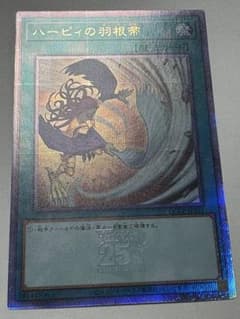 ハーピィの羽根帚 25周年記念版 絵違い - メルカリ