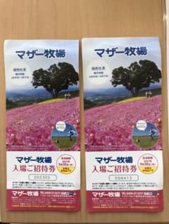 マザー牧場　招待券　チケットのサムネイル