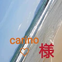 carino♡様専用！！のサムネイル