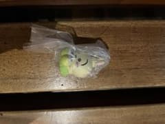 龍*信様 ちいかわ たべものいっぱいマスコット うさぎ　 人魚の島のひみつのサムネイル