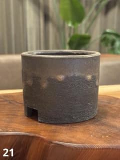 陶器鉢 植木鉢 塊根植物 コーデックスのサムネイル