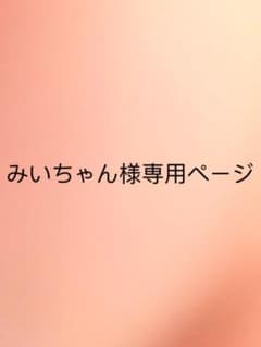 みいちゃん様専用ページのサムネイル