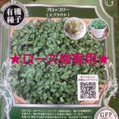 ローズ様専用★のサムネイル