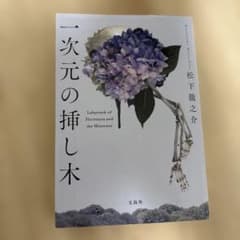 一次元の挿し木のサムネイル