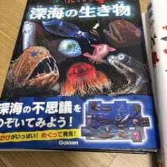 学研 はっけんずかん 小学館の図鑑NEO 魚 セットのサムネイル