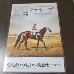 タケホープJRA競馬グッズクリアファイルヒーロー列伝