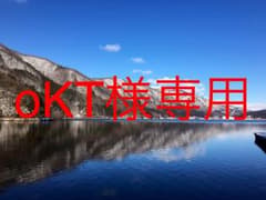 oKT様専用CSMドラグバイザーのサムネイル