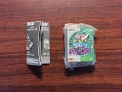 Pokémon Package & Cartridge Keychain Collection