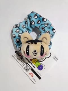 GENERATIONS　ジェ猫　シュシュ　数原龍友