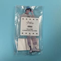 Stray Kids スキズ チャンビン アクスタ ドームツアーのサムネイル