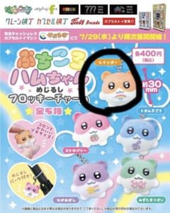 ぷちころハムちゃん めじるしフロッキーチャーム 全5種 ガチャのサムネイル