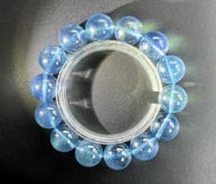 超夢幻品質 永遠の愛を刻む奇跡の青 幻のエターナルブルーサンタマリア