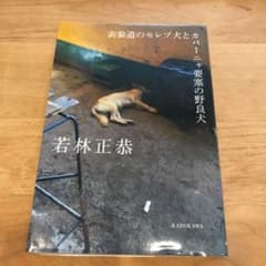 表参道のセレブ犬とカバーニャ要塞の野良犬のサムネイル
