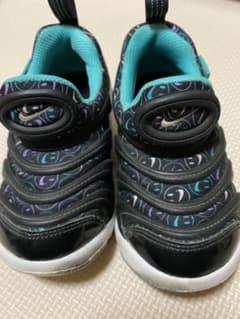 NIKE ナイキ ダイナモフリーのサムネイル