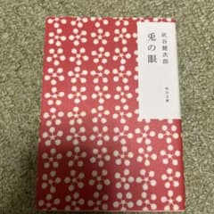 兎の眼 灰谷健次郎 角川文庫のサムネイル