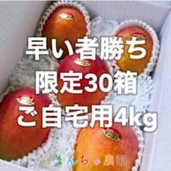 【農園直送】宮古島産完熟マンゴー4kg(8〜10個)のサムネイル