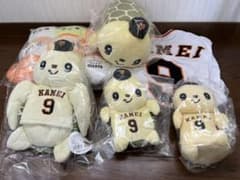 ★亀井善行★ カメットまとめ売りのサムネイル