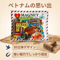 ベトナム ホイアン 3Dマグネット 立体レリーフ　数量:1個のサムネイル