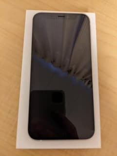 Apple iPhone 12 mini 64GB SIMフリーのサムネイル