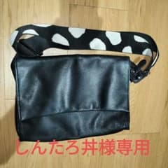 ear PAPILLONNER　ワイドテープショルダーバッグのサムネイル