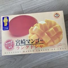 宮崎マンゴーラングドシャ　２４枚入りのサムネイル