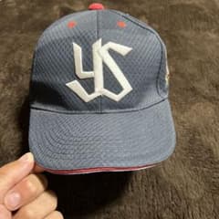 YS 50周年記念 グレー メッシュキャップのサムネイル