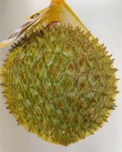 新鲜榴蓮ドリアン 1.8kg～2.1kg/1玉 - メルカリ
