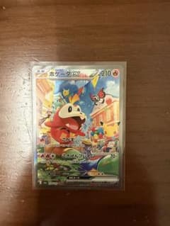 ホゲータex SAR ポケモンカード30thのサムネイル