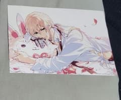 FateGrandOrder FGO 베디비에르 브로마이드 입장 특전