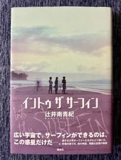 イントゥ ザ サーフィン　辻井 南青紀  美品のサムネイル