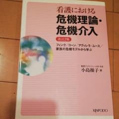 看護における危機理論・危機介入 : フィンク/コーン/アグィレラ/ムース/家族…のサムネイル