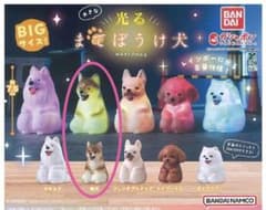 柴犬/未開封　光る まてぼうけ犬のサムネイル