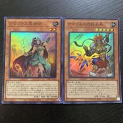 遊戯王　アマゾネスの戦士長　アマゾネス霊術師　スーパーレアのサムネイル