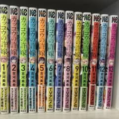 뻐꾸기의 신부 1~13권